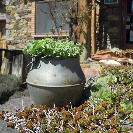 Affittacamere D'éller 2*